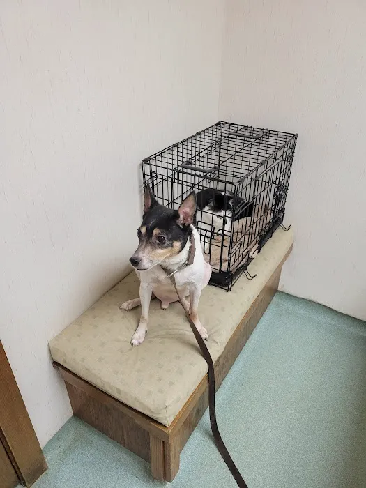 Valley Animal Clinic 2