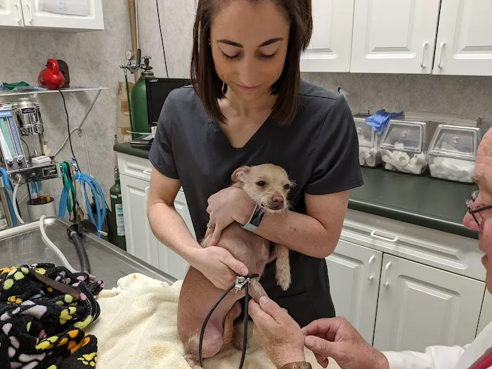 Veterinary House Call Services & Clinic 6
