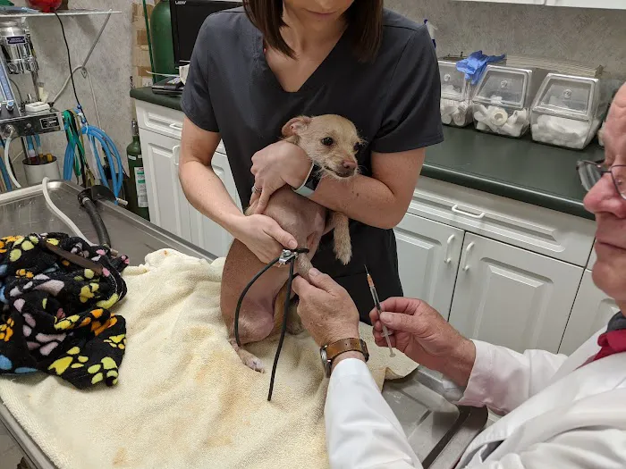 Veterinary House Call Services & Clinic 9