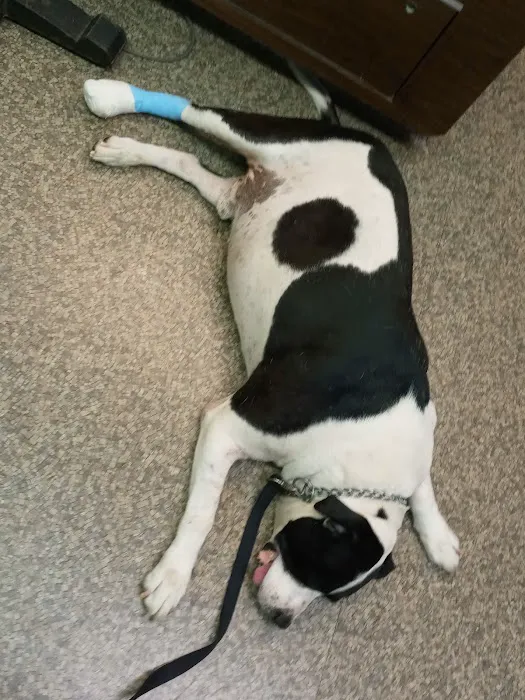 Genesee Veterinary Hospital 12