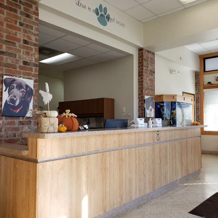 Cross Veterinary Clinic 4