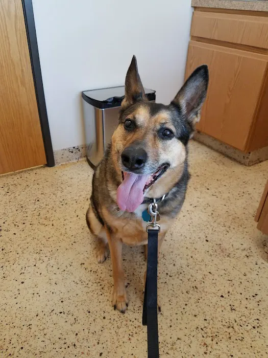 Cross Veterinary Clinic 8