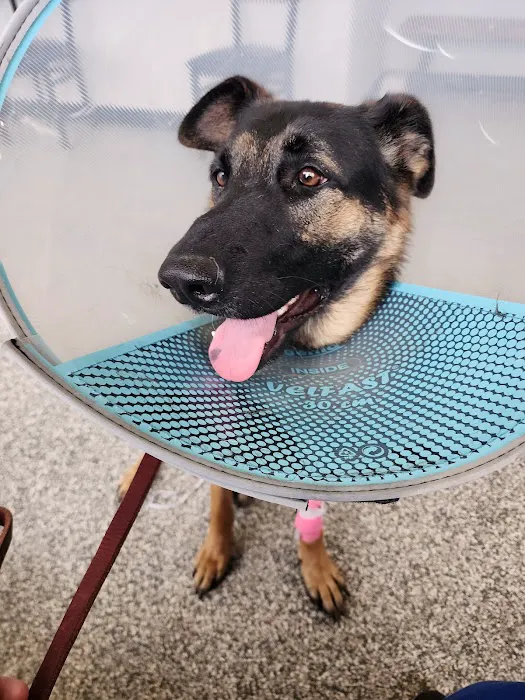 Grand Blanc Veterinary Hospital 4