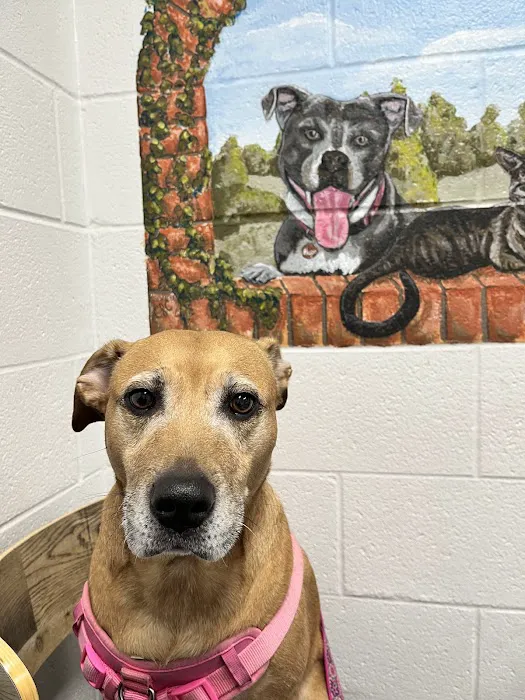 Grand Blanc Veterinary Hospital 9