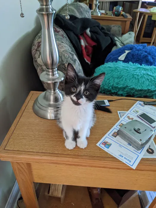 Grand Blanc Veterinary Hospital 2