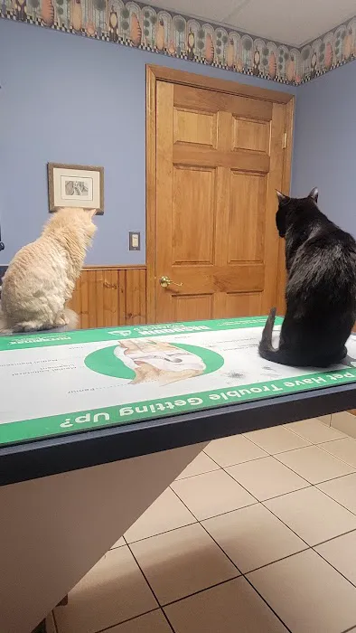 Briarwood Veterinary Hospital 1
