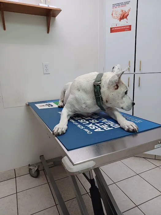 Country Veterinary Services: Todd Barbara J DVM 7
