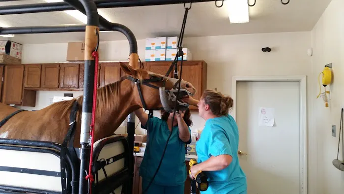 Country Veterinary Service 3