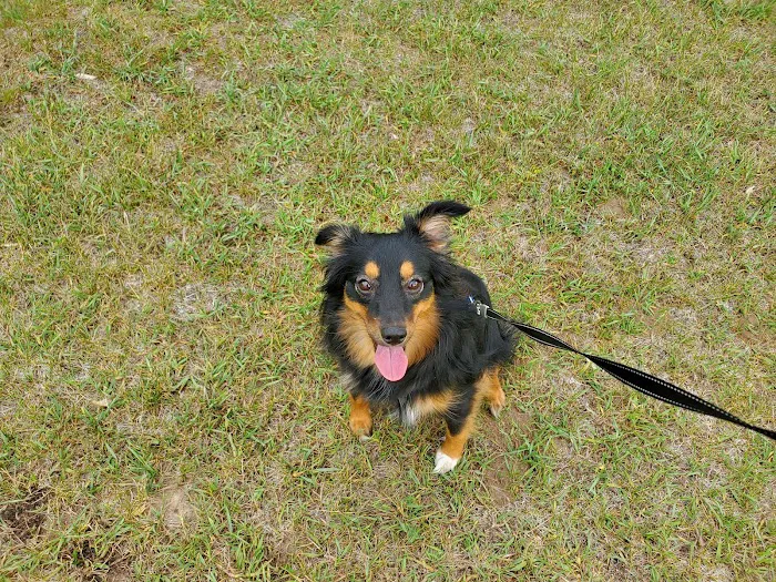 Sterner Veterinary Clinic 5