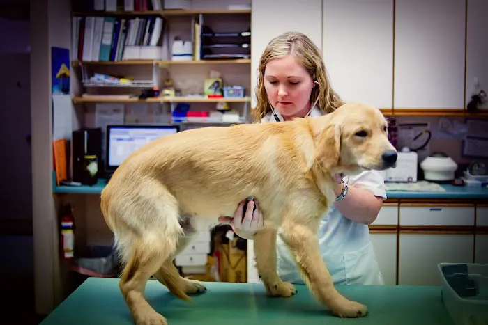 Pennfield Animal Hospital 9