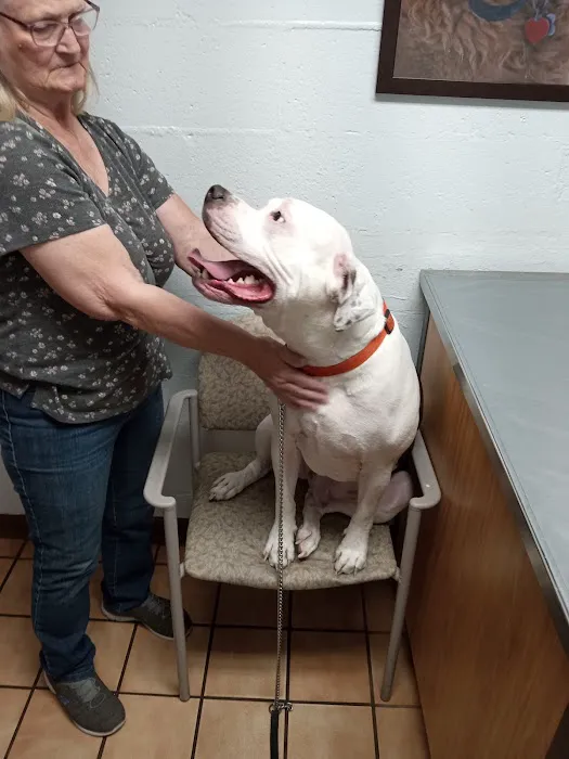 Dickman Road Veterinary Clinic 2