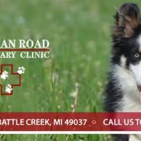 Dickman Road Veterinary Clinic ico