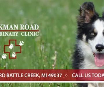 Dickman Road Veterinary Clinic
