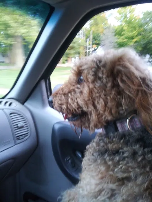 Dickman Road Veterinary Clinic: Bradley R DVM 1