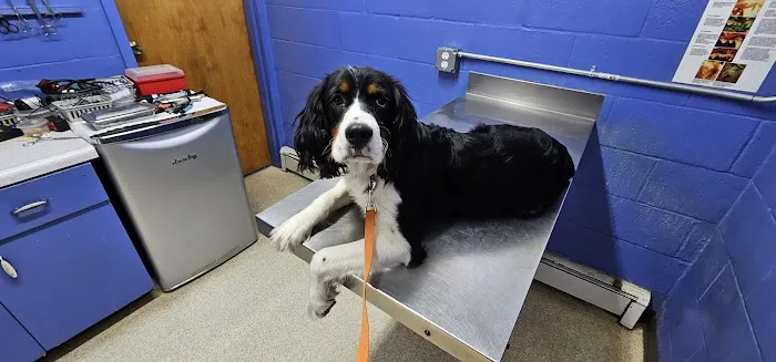 Lakeview Veterinary Clinic 7