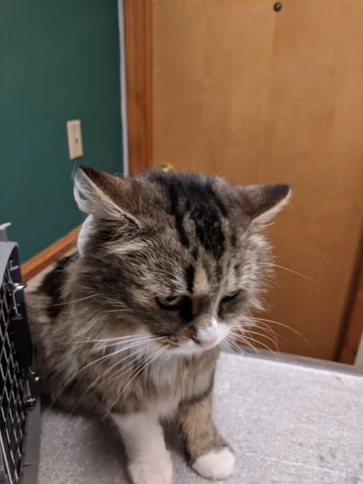 Denney Veterinary Services 2