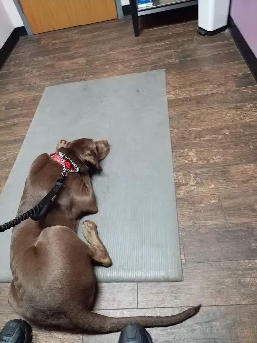 Denney Veterinary Services 3