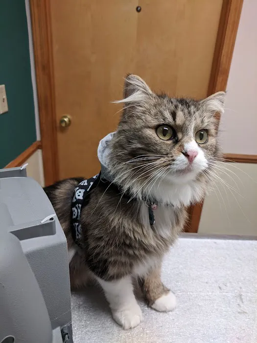Denney Veterinary Services 4