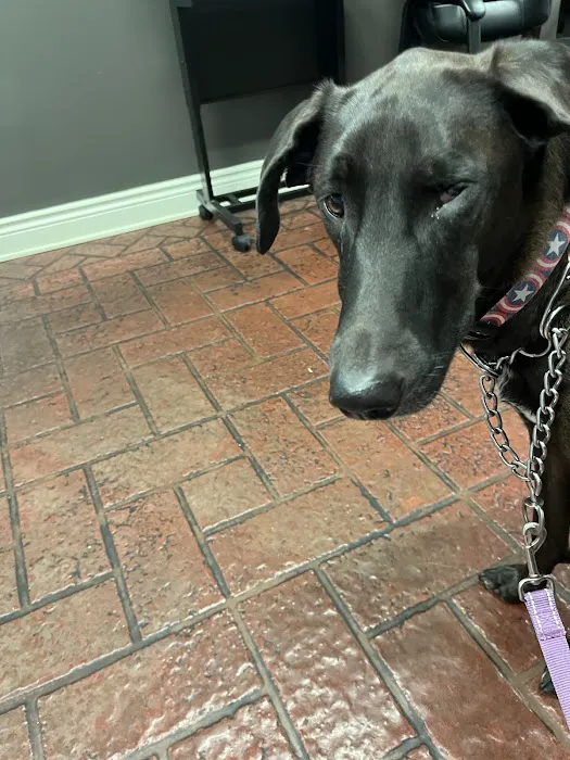 Denney Veterinary Services 6