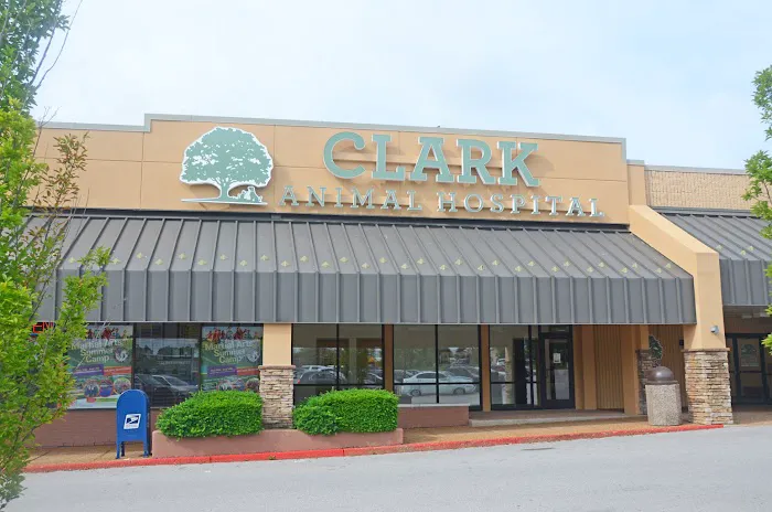 Clark Animal Hospital 3