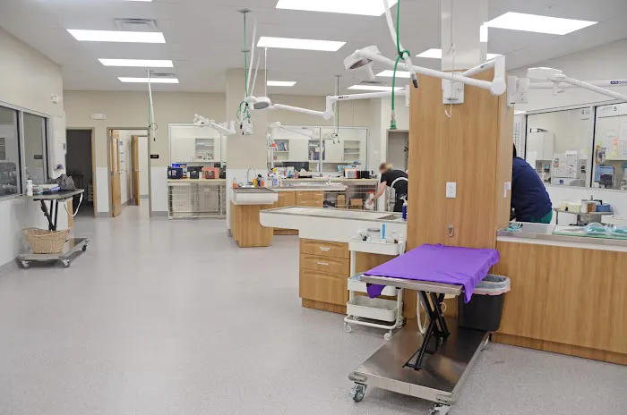 Clark Animal Hospital 9