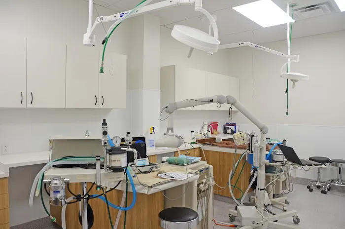 Clark Animal Hospital 4