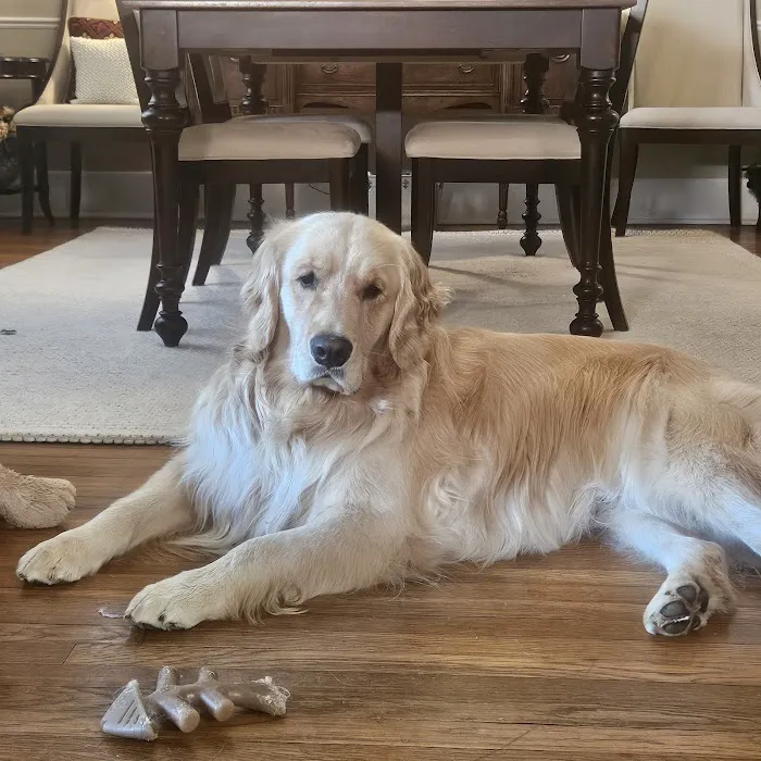 Clark Animal Hospital 6