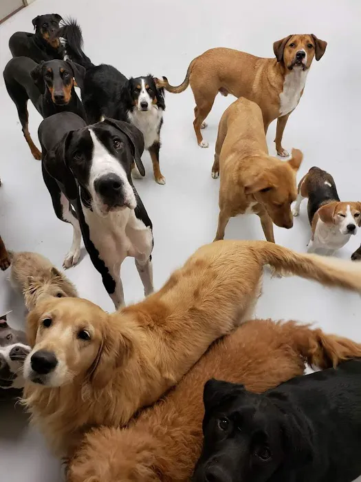 Murphy Animal Hospital 2