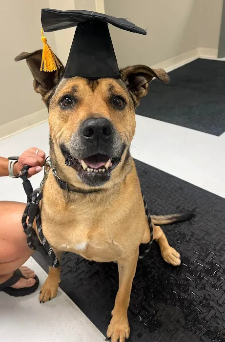 Murphy Animal Hospital 1