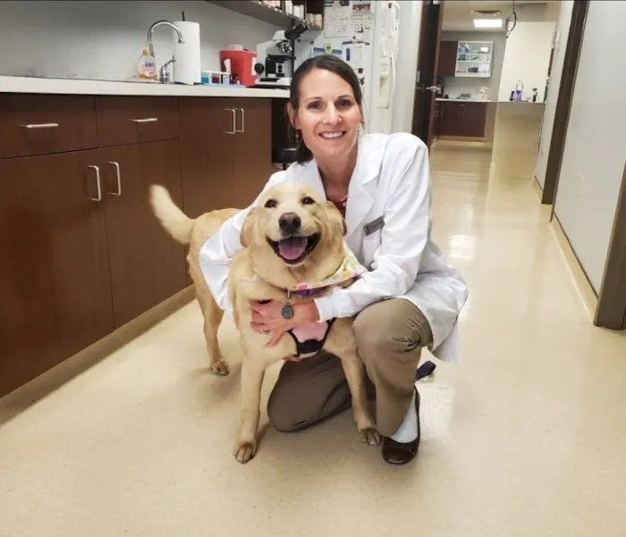 Murphy Animal Hospital 4