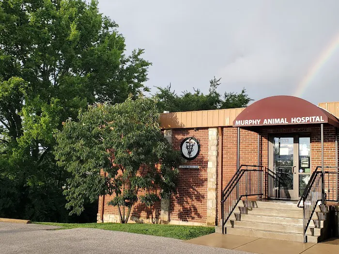 Murphy Animal Hospital 6