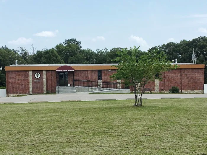 Murphy Animal Hospital 5