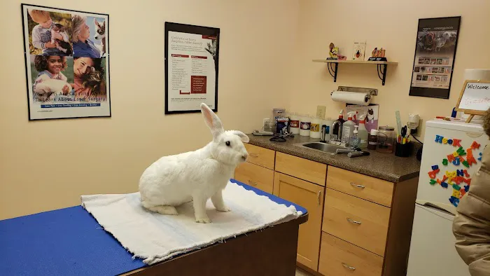 Hope Animal Hospital 7