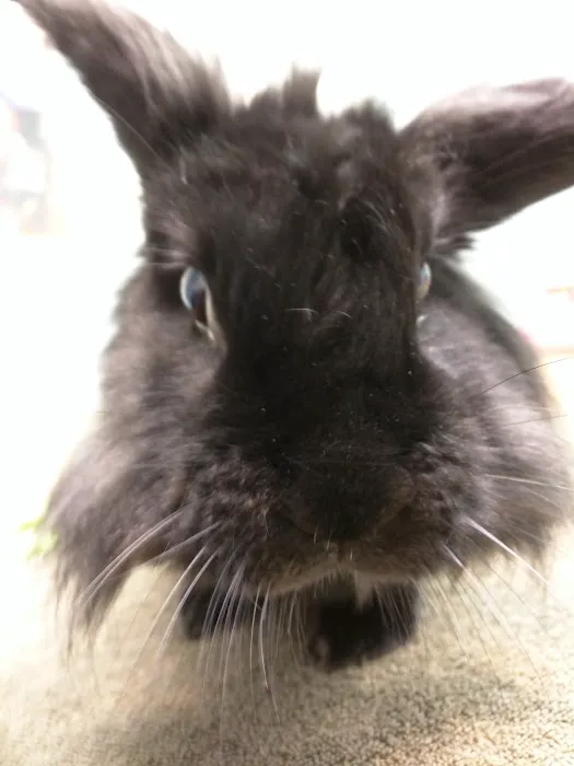 Hope Animal Hospital 5