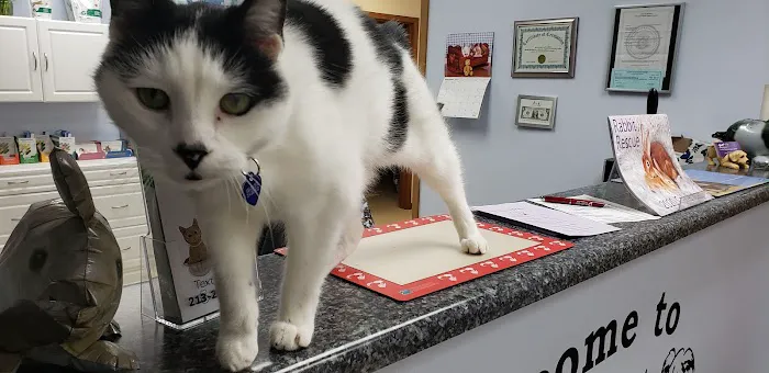 Hope Animal Hospital 3