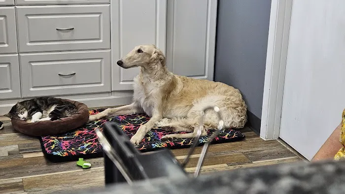 Hope Animal Hospital 1