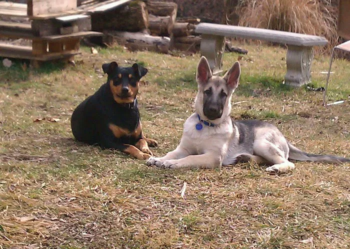 Advantage Veterinary Center 6