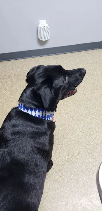 Advantage Veterinary Center 4