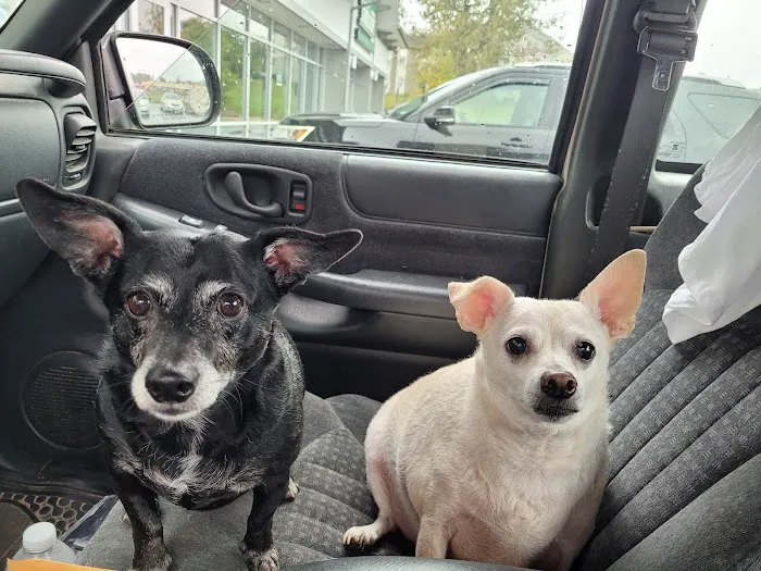 Advantage Veterinary Center 9
