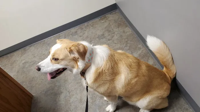 Olde Towne Fenton Veterinary 5