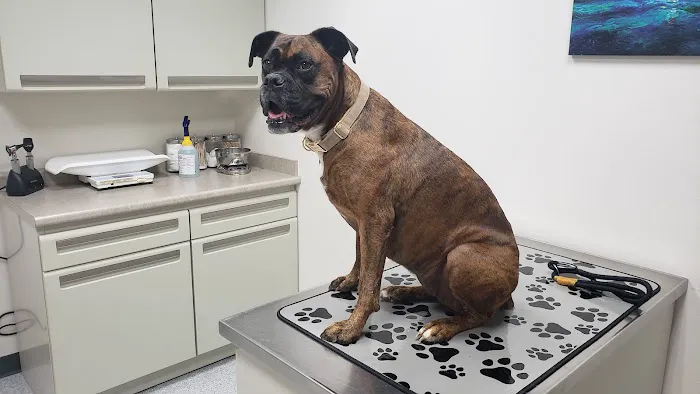 Family Pet Hospital 3