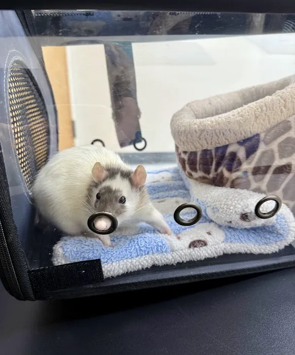 Family Pet Hospital 10