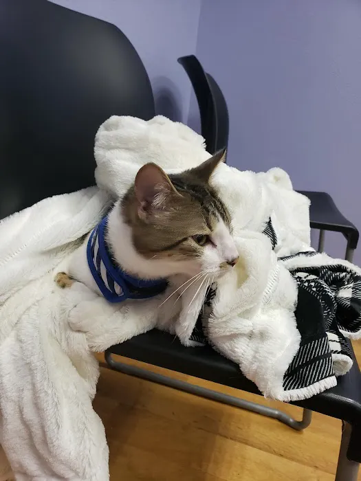 Family Pet Hospital 8