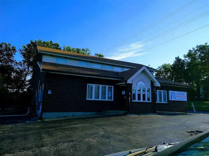 Animal Emergency Clinic 8