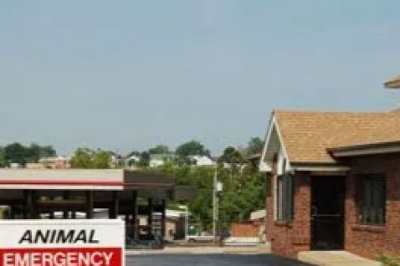 Animal Emergency Clinic