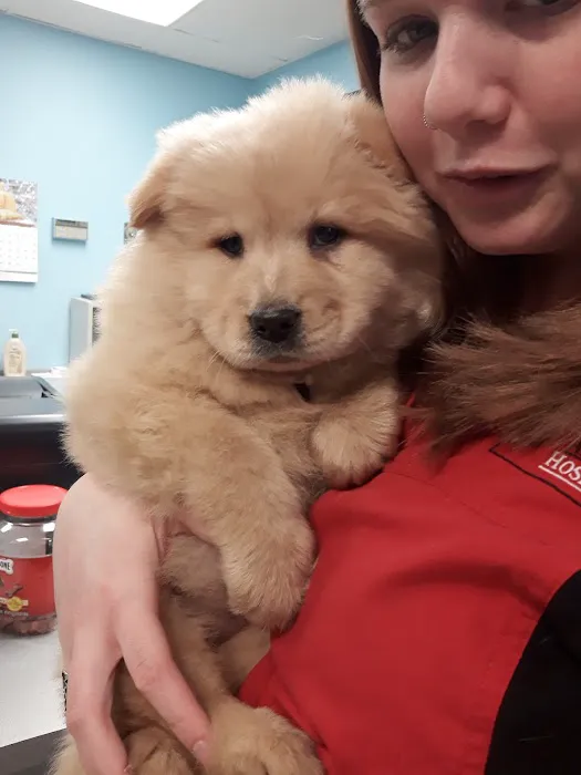 Grantview Animal Hospital 12