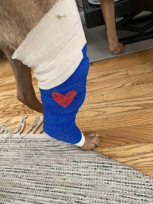 West Side Animal Clinic 12