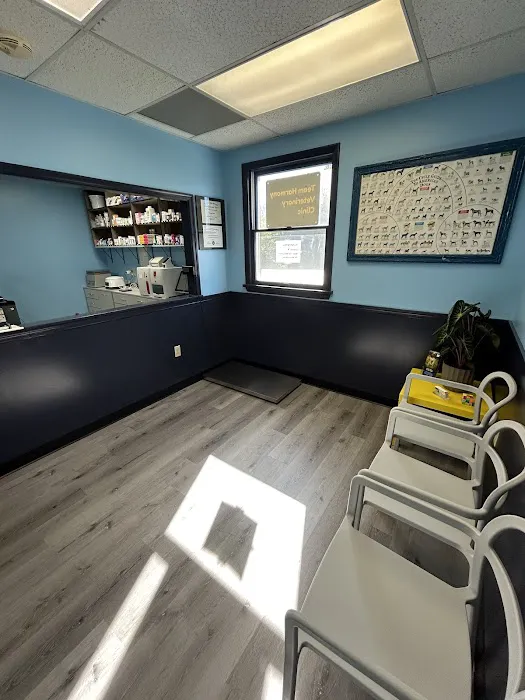Team Harmony Veterinary Clinic 1