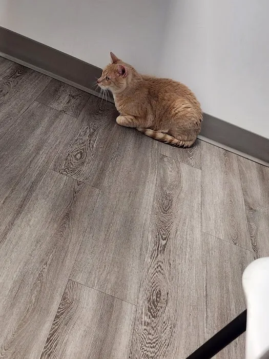 Cumberland Veterinary Clinic 8