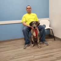 Cumberland Veterinary Clinic ico